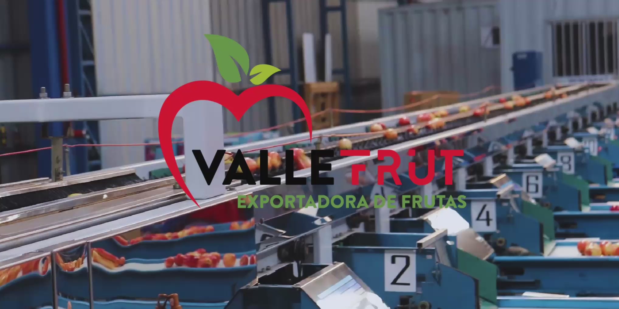 Cargar video: 